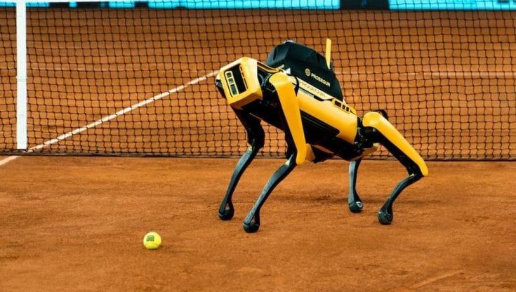 Tennis, al Masters 1000 di Madrid un cane robot in campo