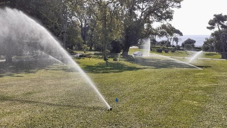 Il clima cambia il verde, gli alberi tropicali si insediano in città