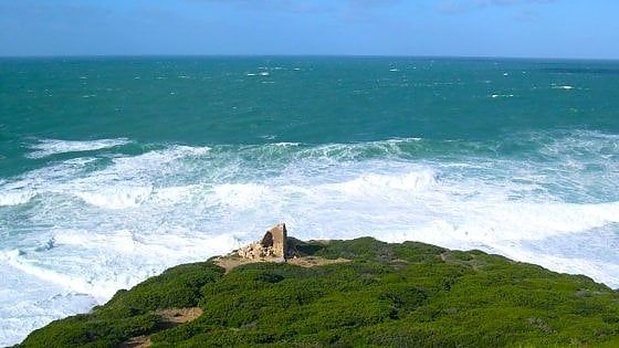Dalle Hawaii alla Sardegna, a ritmo di surf