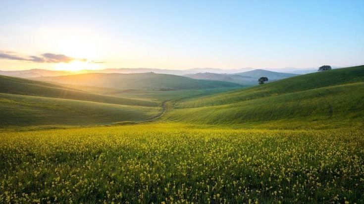 La Corte dei Conti Ue boccia le iniziative degli Stati per la tutela del suolo