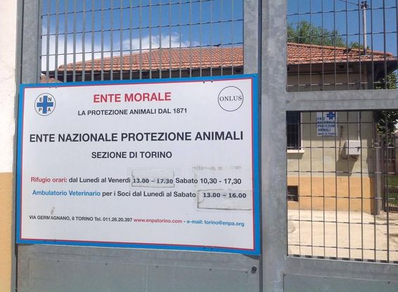 Torino: la giunta taglia duecentomila euro al canile, il Pd insorge