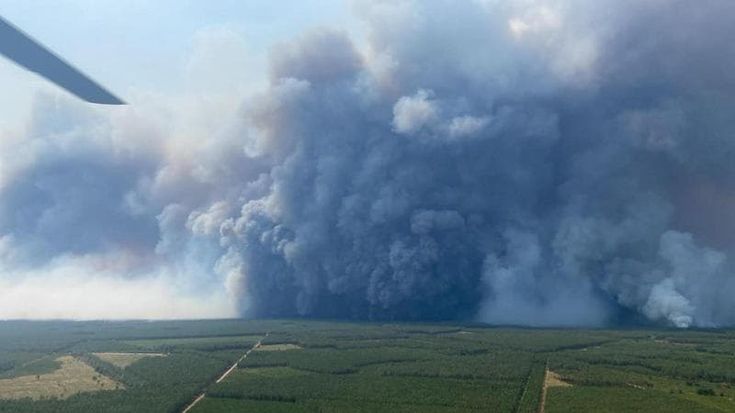Incendi: cosa sono i pirocumulonembi, i temporali di braci e fulmini generati dal fuoco