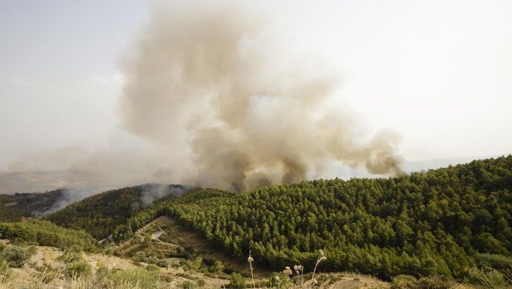 Agricoltore muore schiacciato dal trattore, stava andando a spegnere un incendio