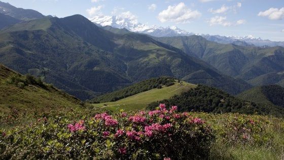 Gli 80 anni dell'Oasi Zegna: quando "Gildo" inventò la panoramica