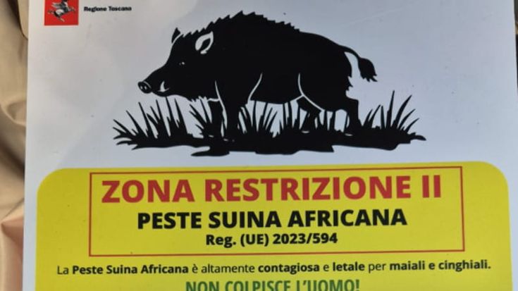 Peste Suina, dopo l’ordinanza con le restrizioni, ecco i cartelli nei boschi in Toscana