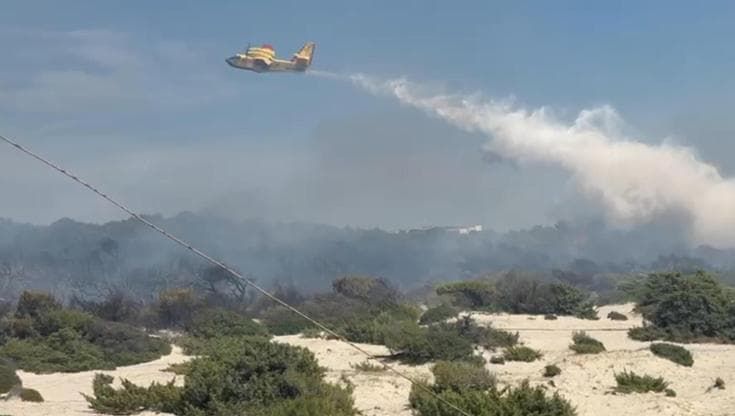 Incendio nel Parco di Ugento, dopo le fiamme le polemiche: “Il piano della Regione va riscritto”