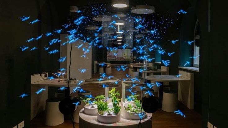 Cosa fare a Milano oggi 4 aprile: Flower Market in Triennale e la Holy Swing Night allo Spirit
