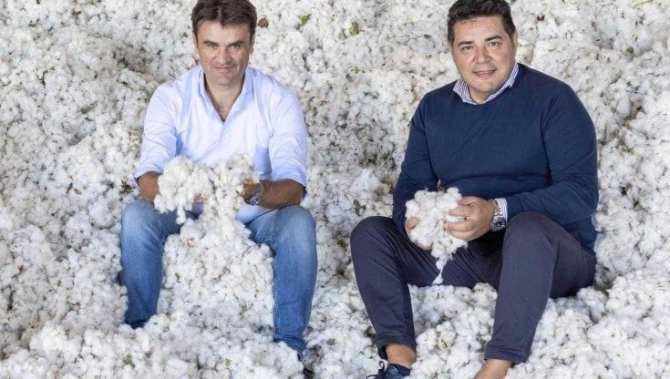 L'unico cotone made in Italy è prodotto in Puglia da un ingegnere e un informatico: "Siamo partiti da un sacco di semi e ora possiamo realizzare abiti"
