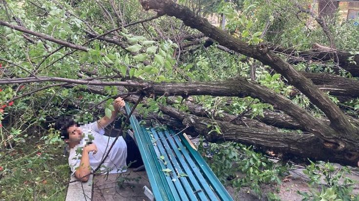 Milano, cade albero in piazza Risorgimento: tre feriti in codice giallo. “Segnalato da 2 settimane”