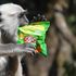 Gelati, spazzatura e turisti da “spennare”: la bella vita degli animali di città