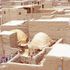 La casa di terra. Il materiale più antico del mondo è l'architettura del futuro