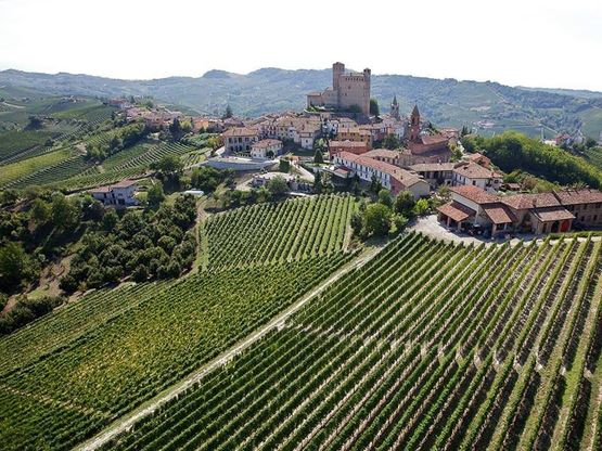 Tenuta Cucco, i cru biologi delle Langhe 