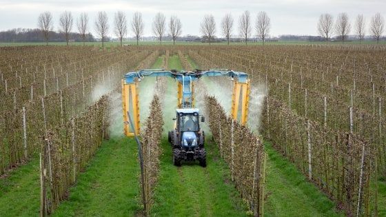 Un futuro senza pesticidi è possibile