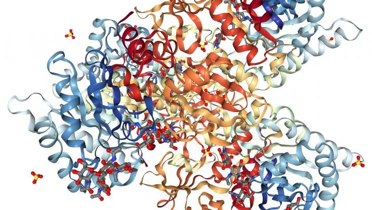 Health & BioTech Accelerator, premio alla ricerca italiana su una proteina-chiave per capire la resistenza tumorale