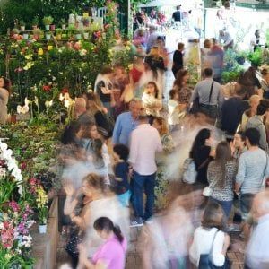 Ischia, torna Ipomea del Negombo: fiori e piante in mostra (e a tavola)