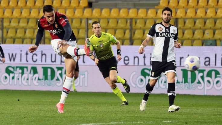Parma-Genoa 1-2: Scamacca rilancia i rossoblù, Pellè non basta agli emiliani