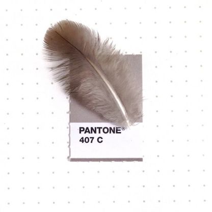 Il Pantone che non ti aspetti. I colori standard nella vita di tutti i giorni