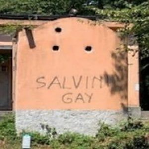 Scritta "Salvini gay" sul muro del rifugio nel Parco di Portofino