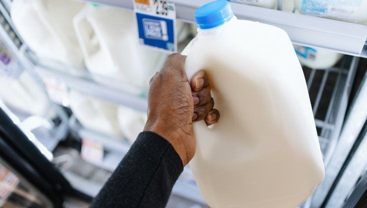 Aviaria nel latte Usa, sono le prove generali del virus per arrivare fino a noi?