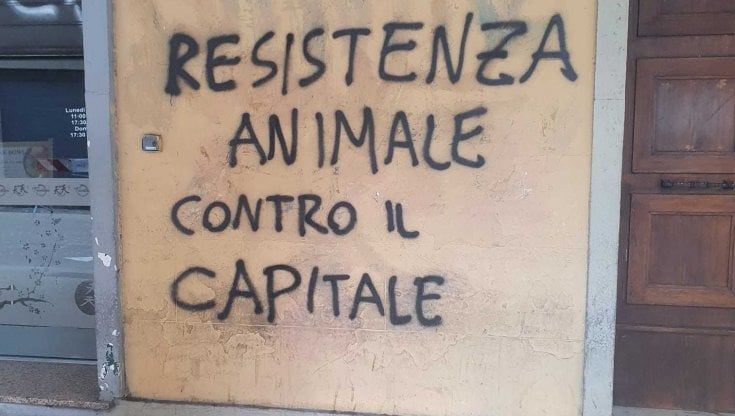 Scritte sui muri in via Petroni: una "taglia" di 500 euro sugli autori. I residenti contro