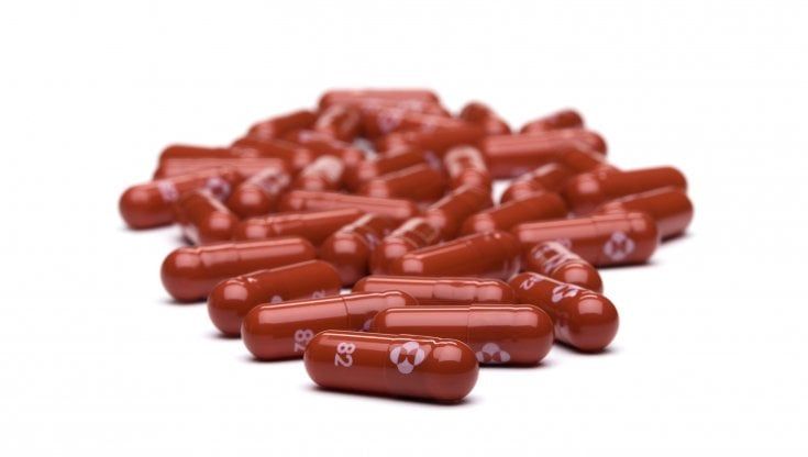 Covid, a Parma le prime 20 confezioni dell'antivirale Molnupiravir
