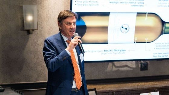 Pinot Grigio delle Venezie, la Doc tiene ma i prossimi mesi sono un’incognita