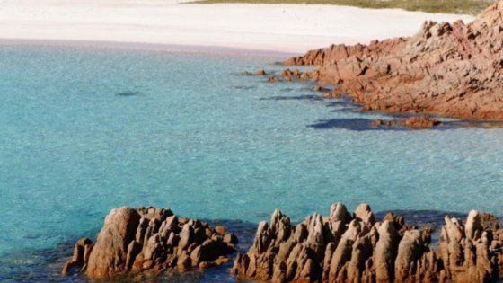 Sardegna, Wwf a sostegno degli studenti piemontesi per l'acquisto Budelli