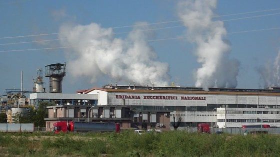 Zucchero, appello sindacati: "Salvare settore e lavoratori"