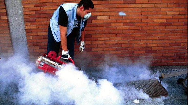 Da Firenze a Pisa 22 casi di Dengue vengono tutti dal focolaio di Baratti, il più grande in Italia