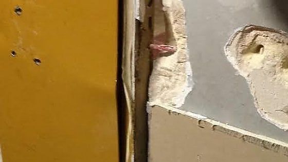 Brindisi, devastano la scuola e si filmano con il telefonino: denunciati cinque ragazzi 