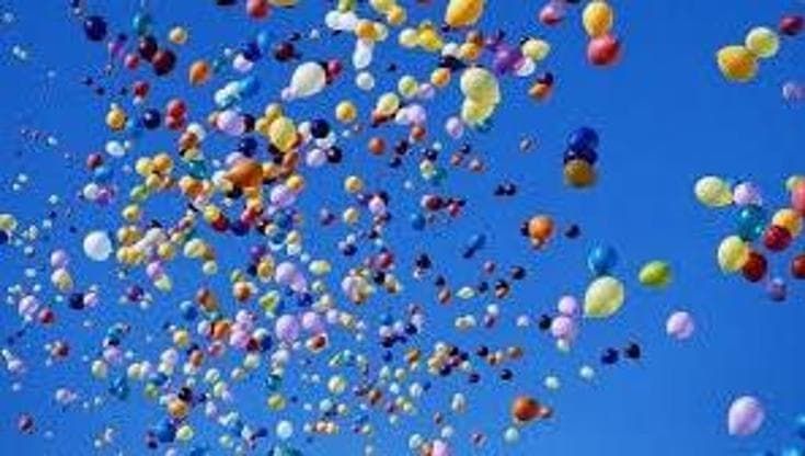 “Basta palloncini, la loro plastica trovata perfino nelle tartarughe marine”