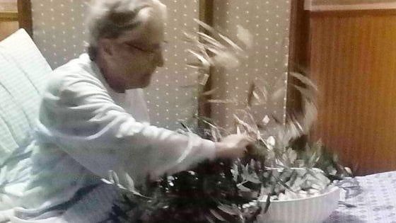 “Nonna Chiara è malata, ha nostalgia della sua terra”: la famiglia le porta un ulivo a letto