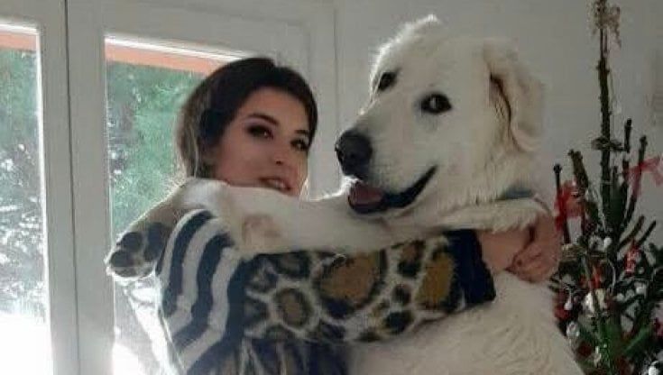 All'Elba non trova un veterinario, il suo cane muore sul traghetto per Piombino