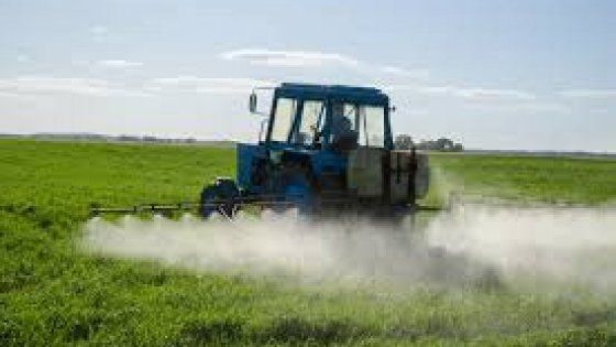 Quell'erbicida è cancerogeno? Scontro tra Efsa e Oms