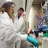 Parte da Torino il progetto per terapie personalizzate contro il sarcoma