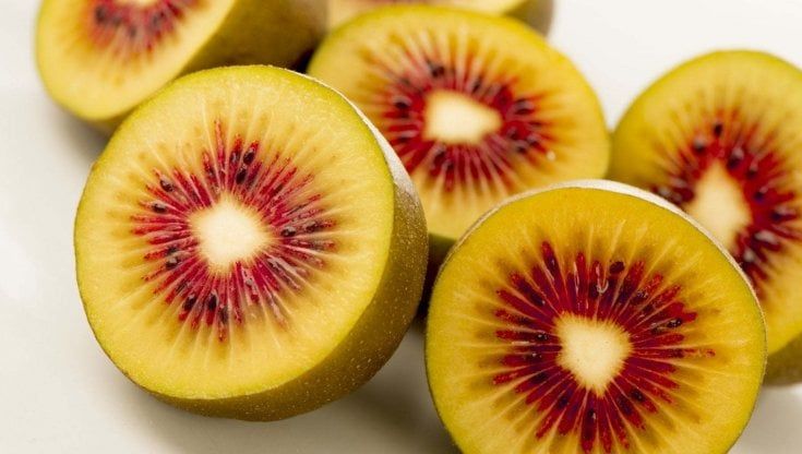 W il kiwi frutto simbolo dell'integrazione
