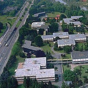 Torino, sciopero alla mensa Onu, le lavoratrici: "Qui negati i nostri diritti" 