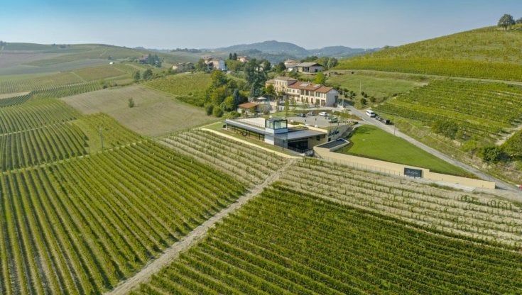 Basso Monferrato: un circuito di quattro sentieri tra i vigneti