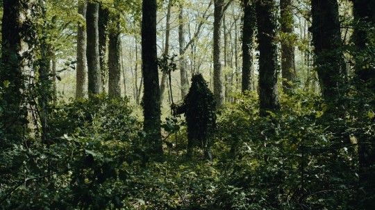 Filmmaker, gli&nbsp; "Alberi" di Frammartino, per un'ecologia del cinema