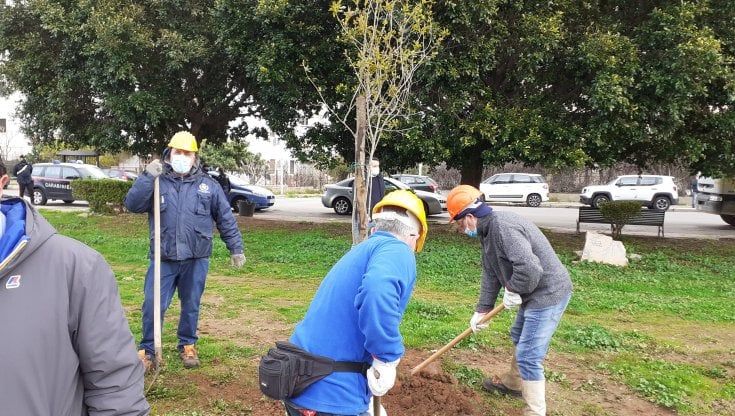 Cep, donati gli alberi alla villetta di quartiere
