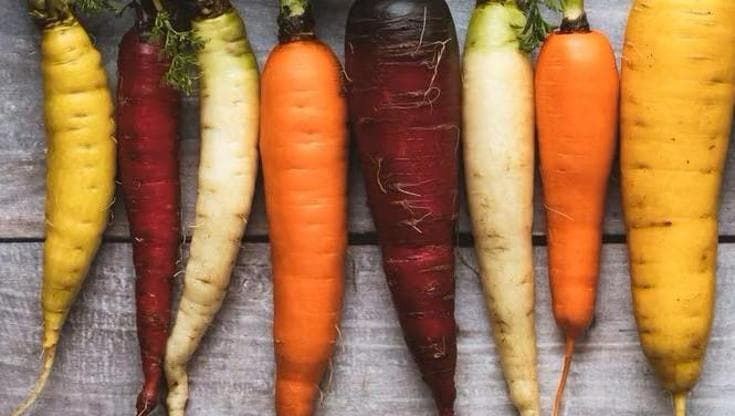 Gialla o viola: tutte le cultivar di carote siciliane