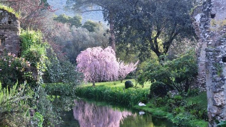 Visite al tramonto e spettacoli al chiaro di luna, riprende “Ninfa di Sera”
