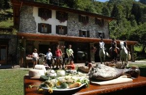 A lezione di pasta e formaggi<br />in 100 agriturismi toscani