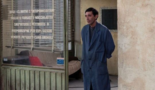Matteo Garrone, Marcello Fonte, Alice e Alba Rohrwacher verso il Palmarès?