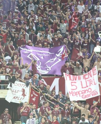 Fiorentina-Torino, il film della partita
