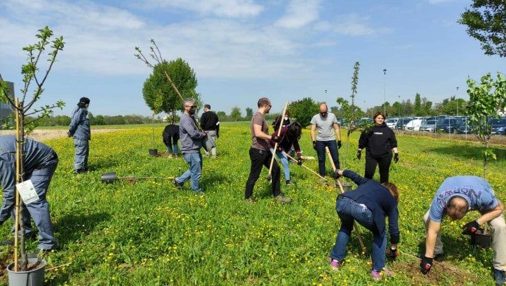 Nasce il Bosco Sidel a Parma: duemila mq per un futuro più verde 