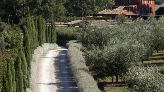 Ottobre, mese della raccolta delle olive e della spremitura