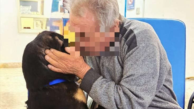 Diego, il cane che inseguì l’ambulanza, riabbraccia in ospedale il suo proprietario. “Era il minimo”