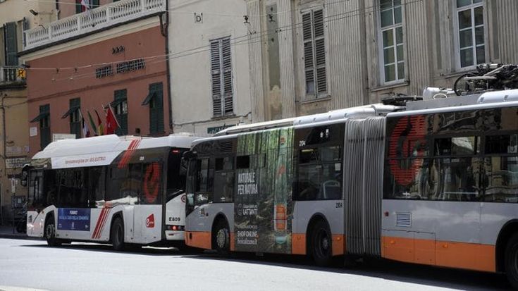 “Se i privati si fermano Amt rischia di fallire”. Anav: “Non ci riguarda”
