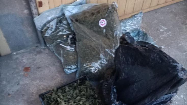 Cuneo, assalto armato a deposito di cannabis light: sette arresti